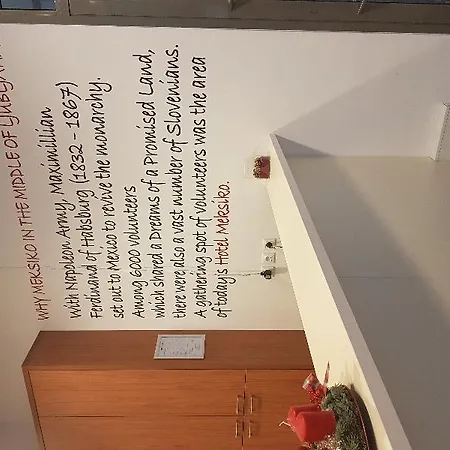 梅客斯可酒店 酒店